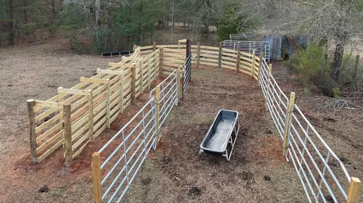 Cattle Chute