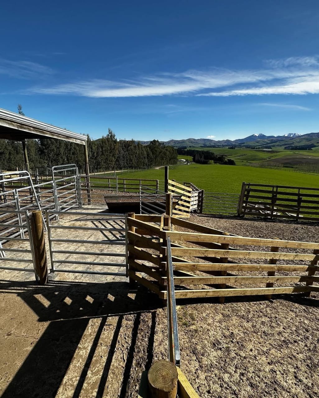 Cattle Pens-1