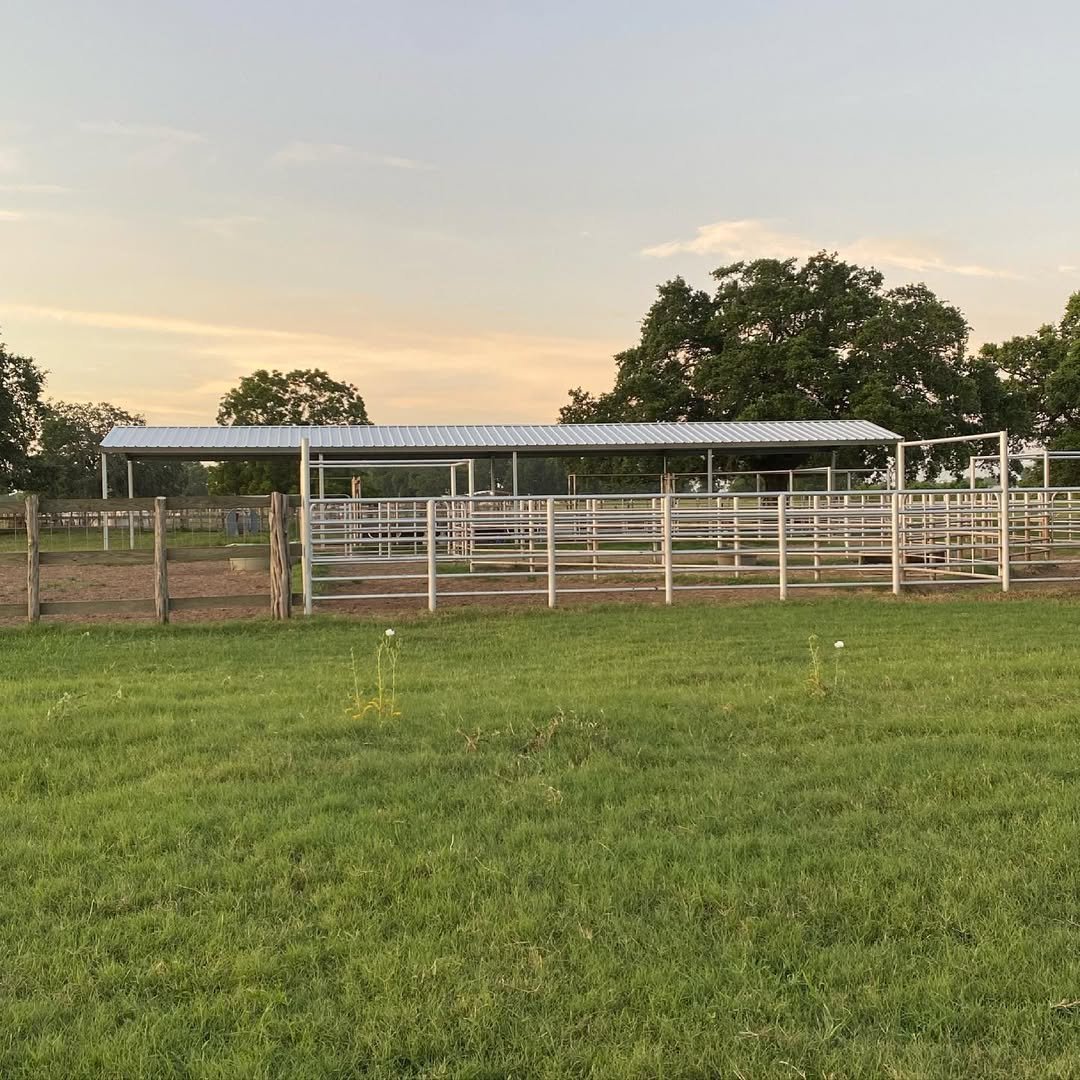 Cattle Pens