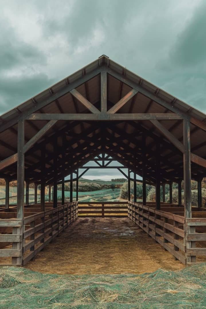 Sheep Barn